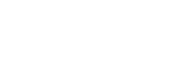 The Worldwide Travel 99
